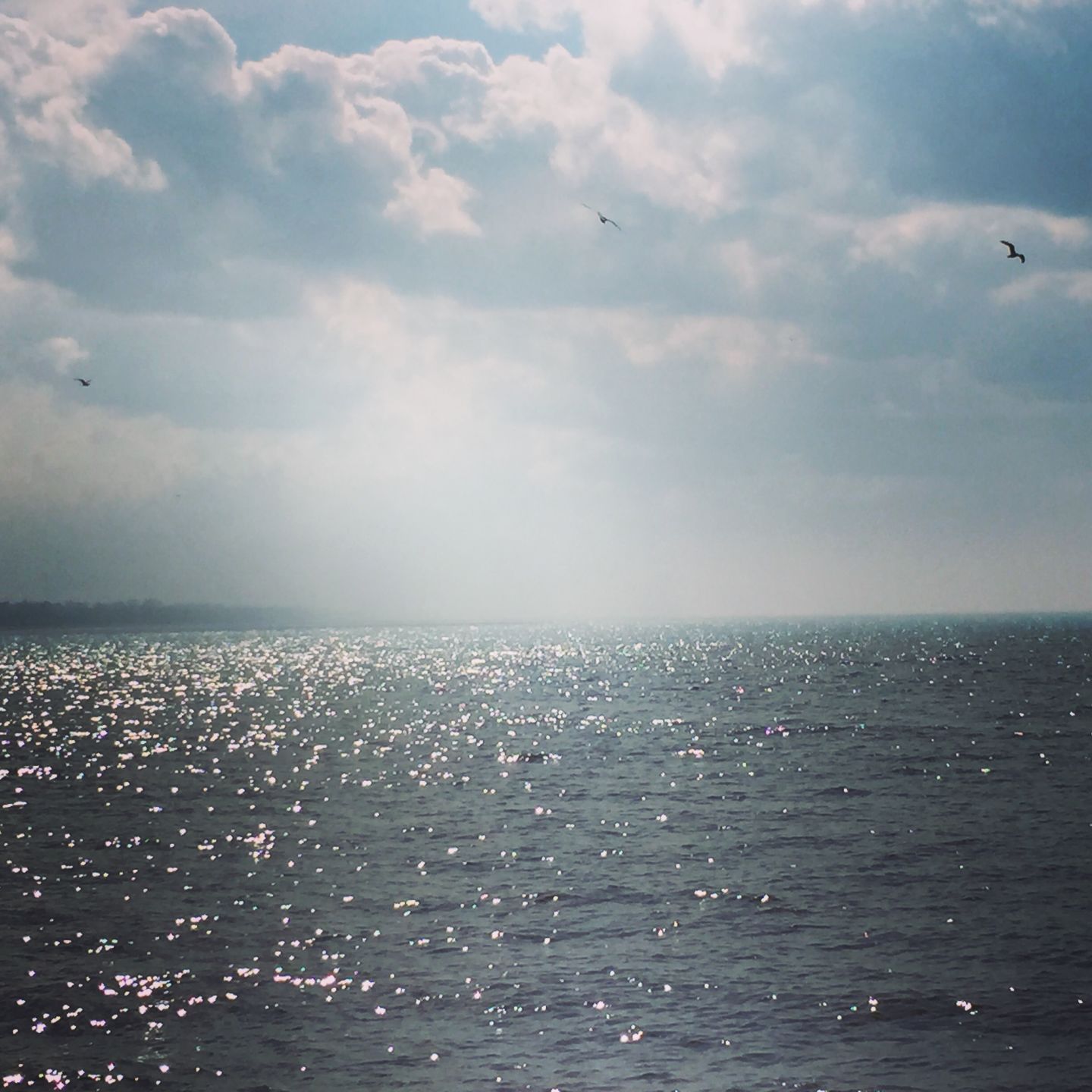 beaches
